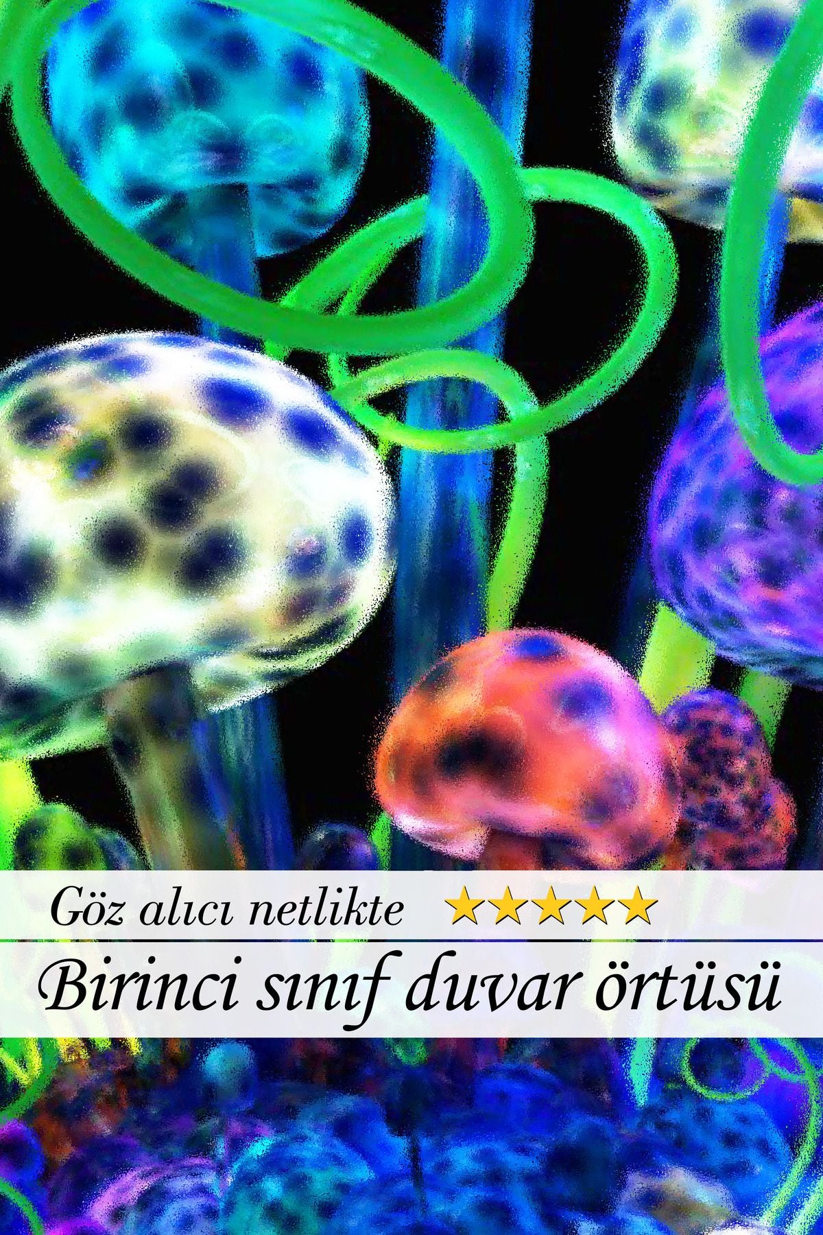 Rüyanın Kapısını Aralayan Renk Cümbüşü Psikedelik Mantarlar