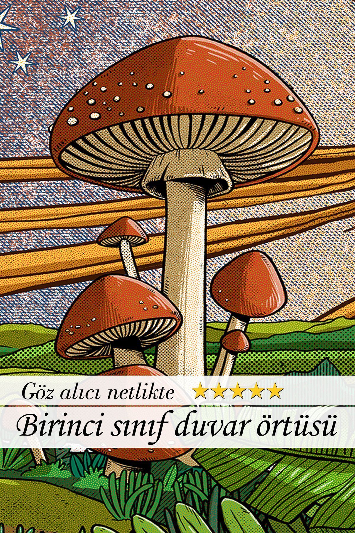 Doğal Büyü: Güneş ve Psychedelic Mantarlarla