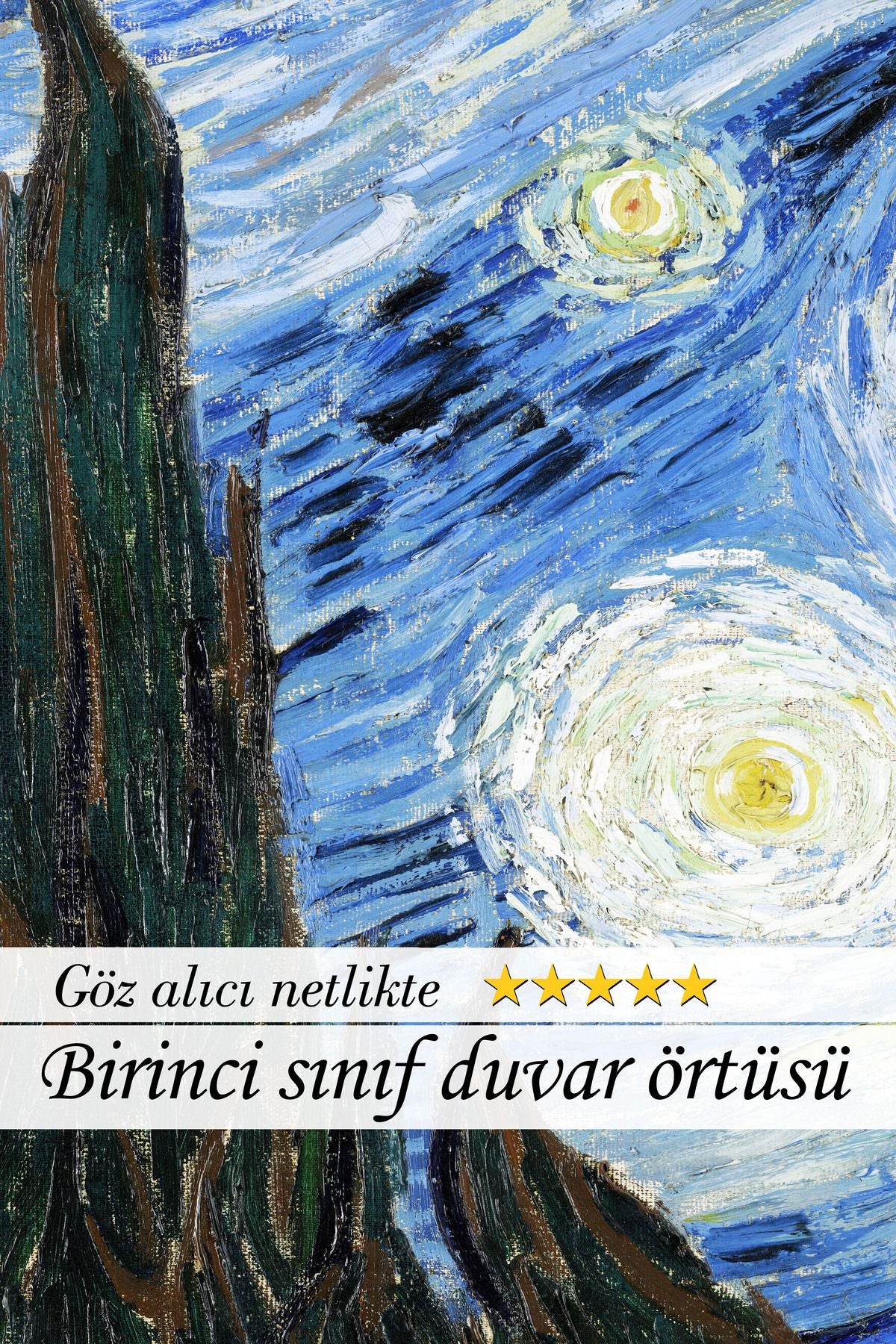 Vincent Van Gogh: Yıldızlı Geceler